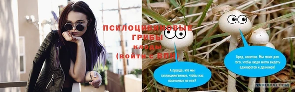 мдпв Осташков
