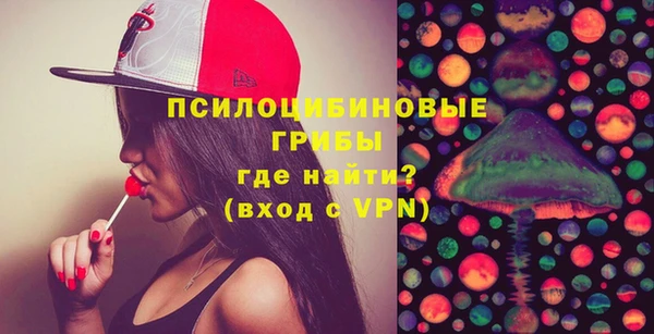 дмт Няндома