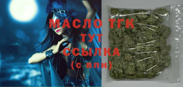 мдпв Осташков