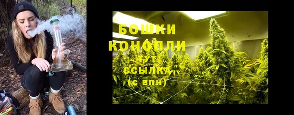 мдпв Осташков