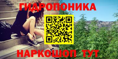гашик Канаш