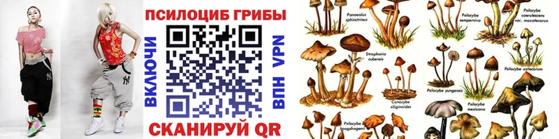 Псилоцибиновые грибы MAGIC MUSHROOMS  Мегион 